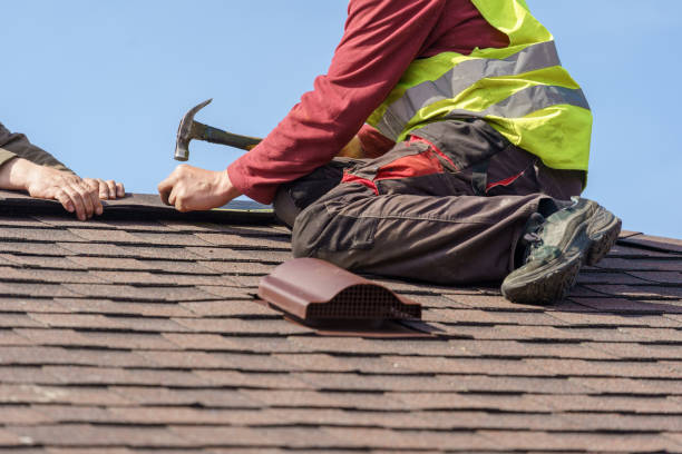 Roof Gutter Cleaning in Syracuse, NE