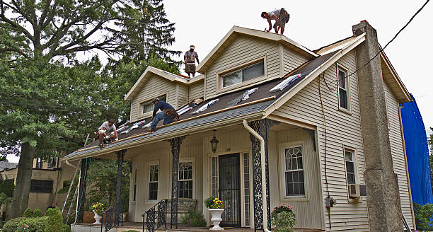 Best Best Roofing Contractors  in Syracuse, NE